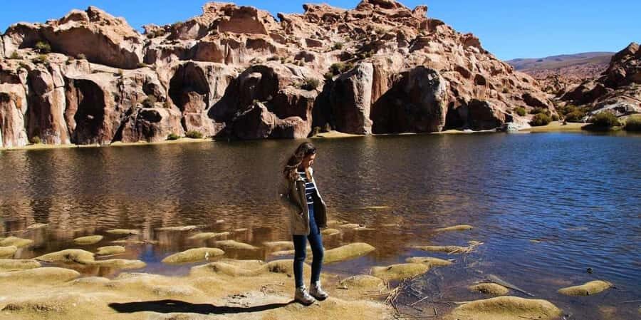 From San Pedro de Atacama: 3 days to Uyuni Salt Flat - Laguna Colorada: 30,000+ flamingos and why this stop is more than photos