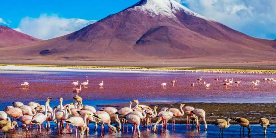 From San Pedro de Atacama: 3 days to Uyuni Salt Flat - Day 1 night in Villamar: expect the real road version of “rest”
