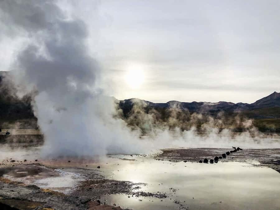 From San Pedro de Atacama: Geysers del Tatio Half-Day Tour - Wildlife by the Putana River (and why it’s more than scenery)