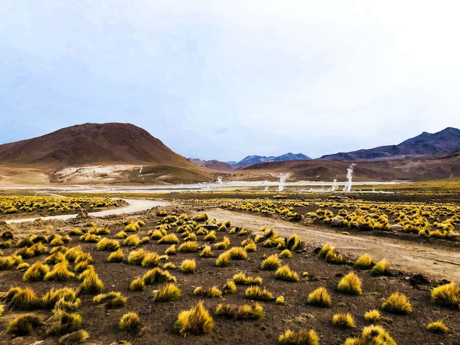 From San Pedro de Atacama: Geysers del Tatio Half-Day Tour - Machuca: a short stop with big character