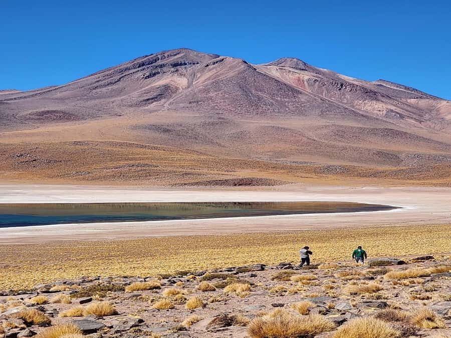 From San Pedro de Atacama: Lagoons and Piedras Reds - A route that links salt flats, villages, and high lagoons