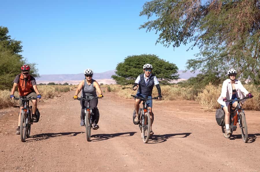 From San Pedro de Atacama: Laguna Cejar E-biking Adventure - Crossing the Atacama Salt Flats: Flat Views, Bumpy Moments