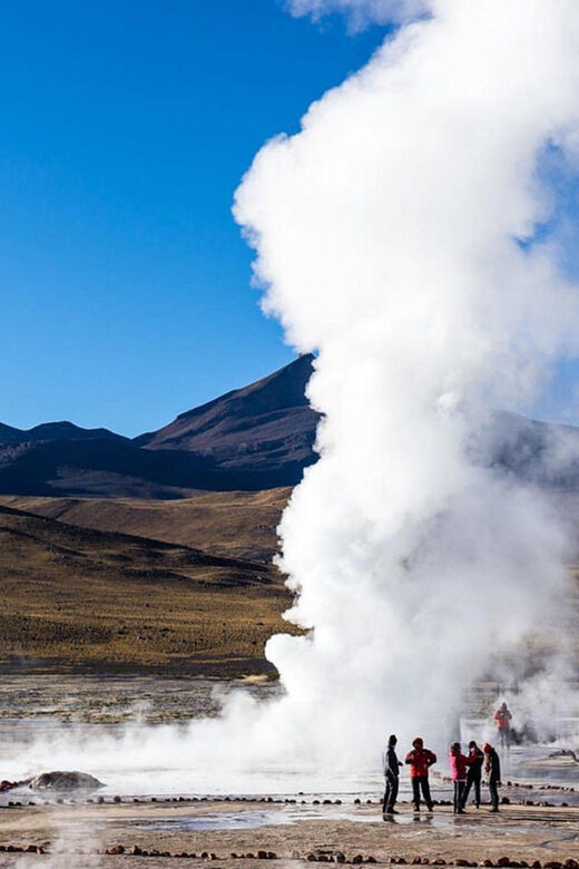 From San pedro de Atacama / Tatio Geyser - The lagoon stop for flamingos: a different kind of altitude wildlife