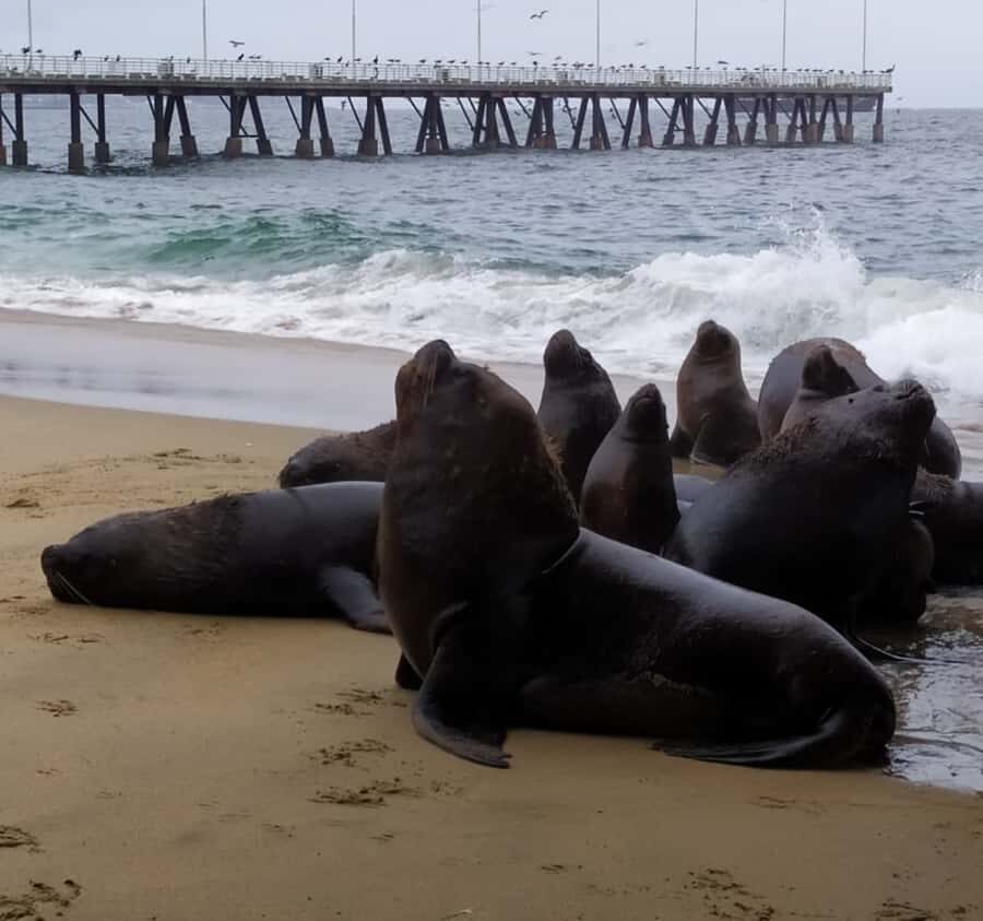 From Santiago: Highlights of Valparaiso and Viña del Mar - What You Should Pack for Coastal Chile