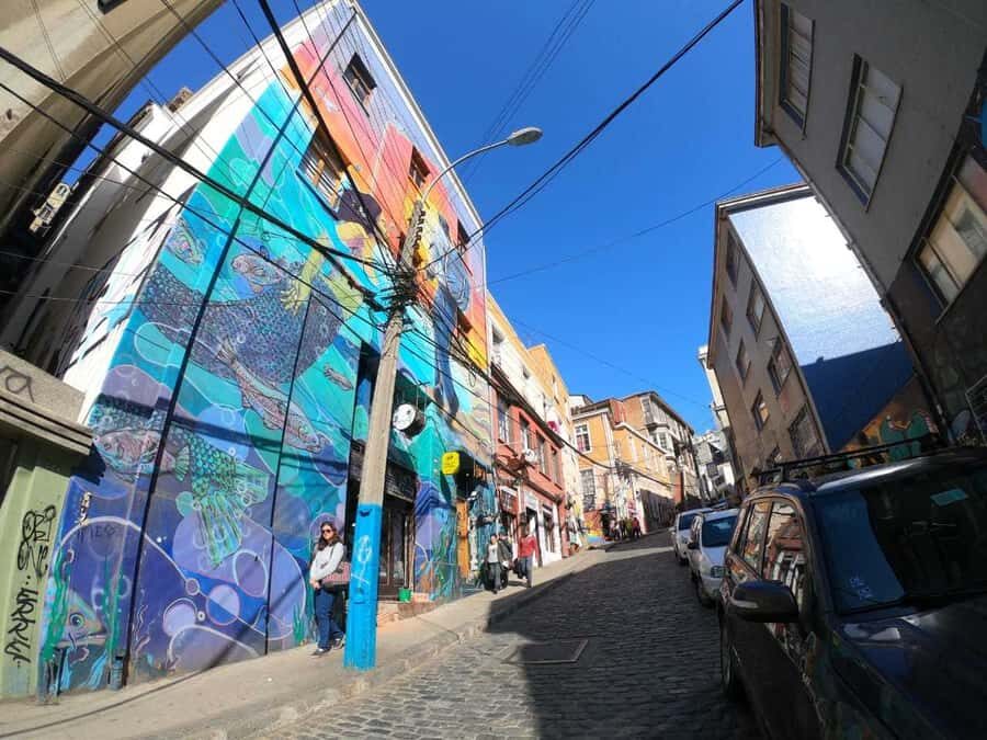 From Santiago: Highlights of Valparaiso and Viña del Mar - Group Size, Guides, and Comfort: What Makes or Breaks the Day