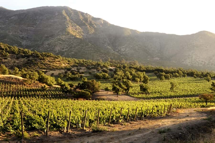 From Santiago: Maipo Valley Wine Tour - Santiago Pickup to Maipo Valley: the Day Starts Where You Are
