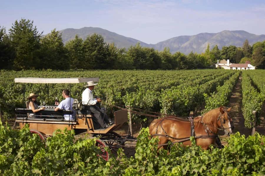 From Santiago: Private Colchagua Valley Wine Tour w/ Tasting - Key things I’d watch for on this Colchagua tour