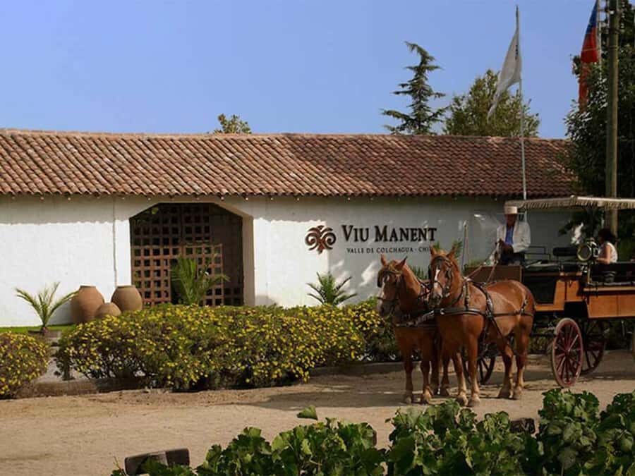 From Santiago: Private Colchagua Valley Wine Tour w/ Tasting - From Santiago to Colchagua: why this route works