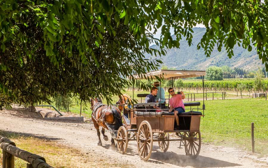 From Santiago: Private Colchagua Valley Wine Tour w/ Tasting - Who this tour suits best (and who should look elsewhere)