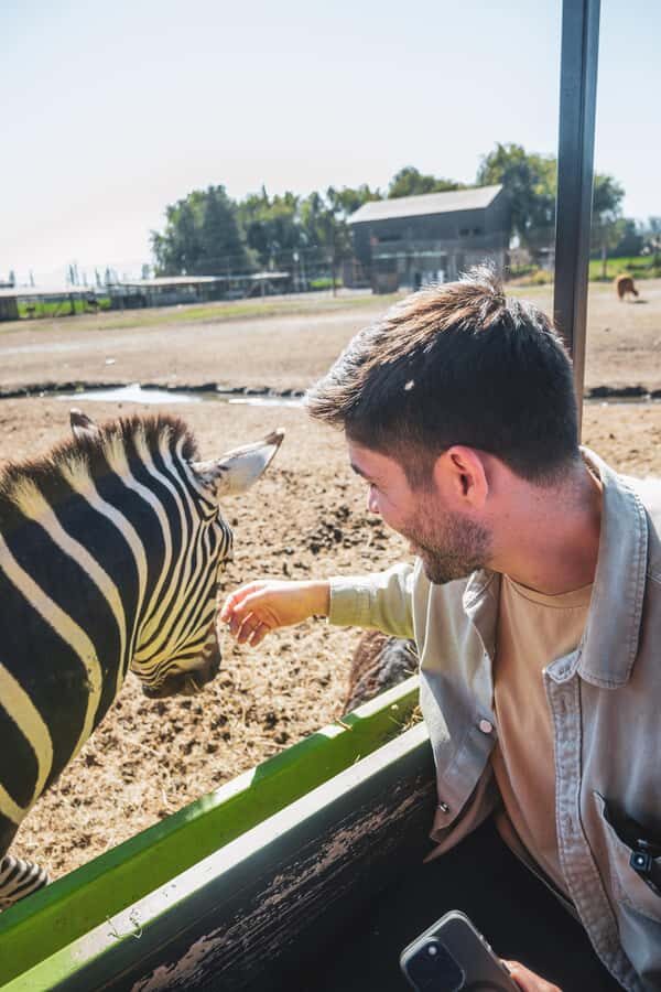 From Santiago: Rancagua Safari Park Zoo - Herbivore Safari: A Calm, Kid-Friendly Start