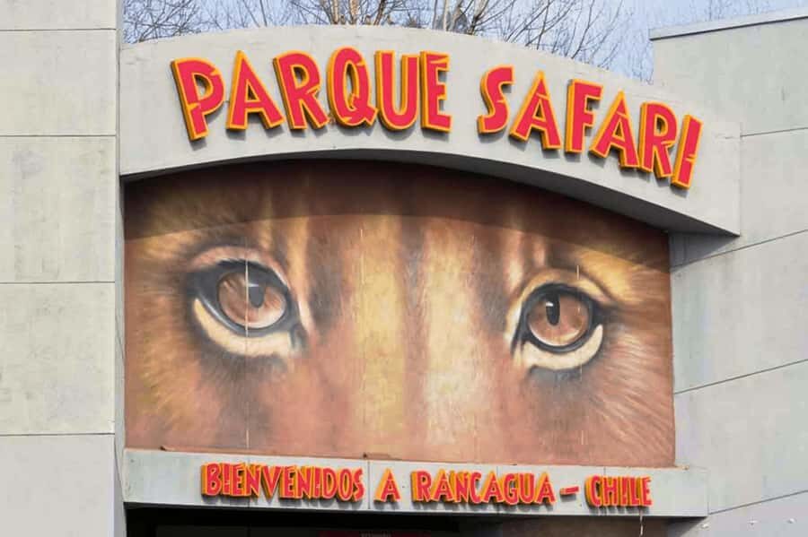 From Santiago: Safari Park, a wild experience - The Chilean countryside breakfast: a smart warm-up