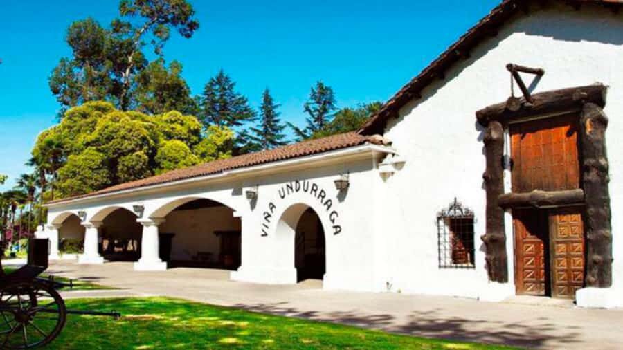 From Santiago: Undurraga Winery Tour with Tasting - Key things you’ll notice on this Undurraga tour