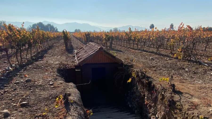 From Santiago: Undurraga Winery Tour with Tasting - Undurraga Winery: old-school Chilean wine culture in the Maipo Valley