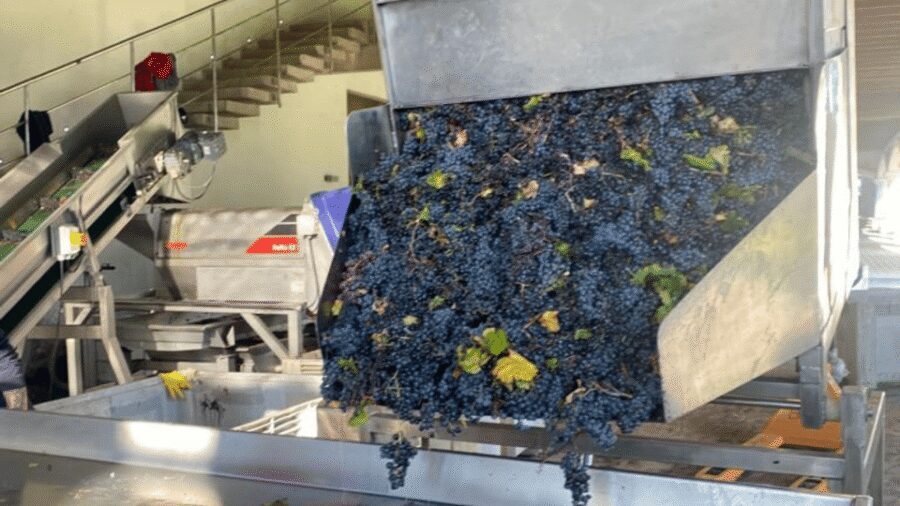 From Santiago: Undurraga Winery Tour with Tasting - Aliwen corner: a rare cultural stop inside a wine itinerary