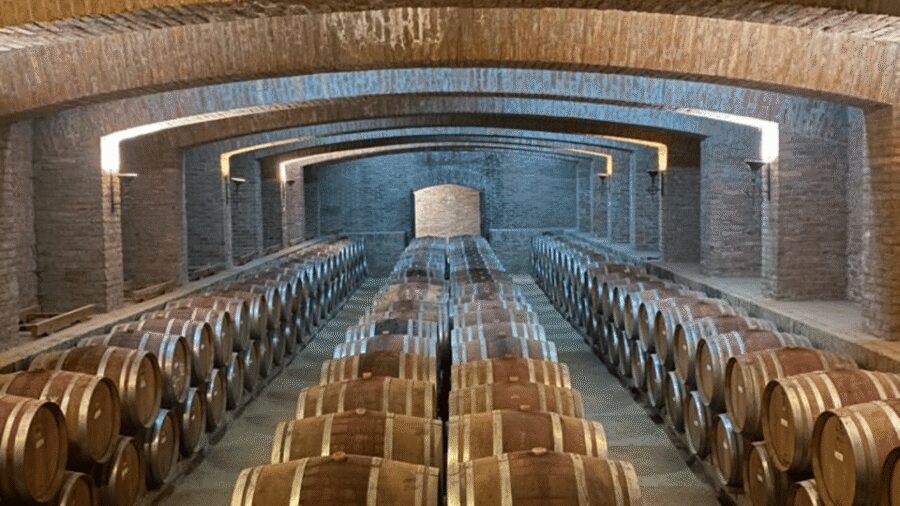From Santiago: Undurraga Winery Tour with Tasting - Inside the centuries-old cellars: where the tasting gets serious