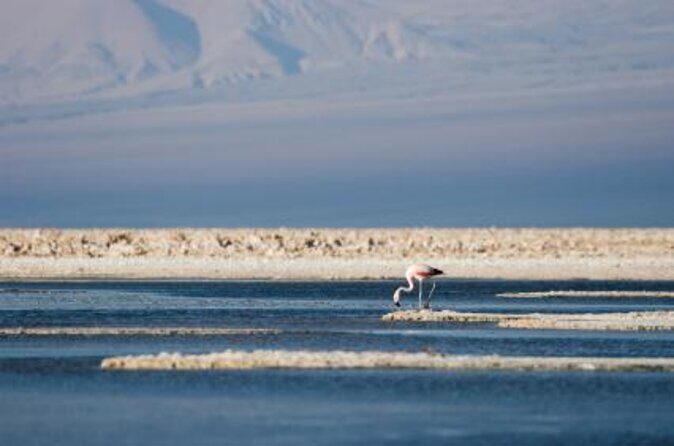 Full Atacama - SORBAC (group tours) - First impressions in San Pedro: a tour that covers the corners
