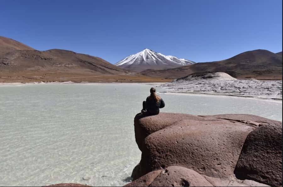 Full day Altiplanic Lagoons, Piedras Rojas and Chaxa Lagoon - Laguna Chaxa in the Salar de Atacama: Birds, Flats, and Flamingo Time