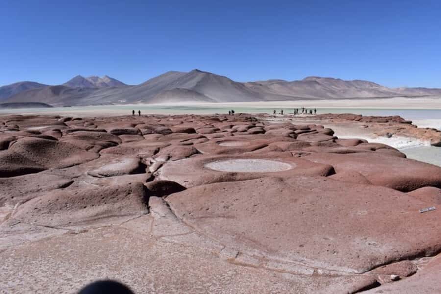Full day Altiplanic Lagoons, Piedras Rojas and Chaxa Lagoon - The Tropic of Capricorn Stop: Quick Education, Fast Photos