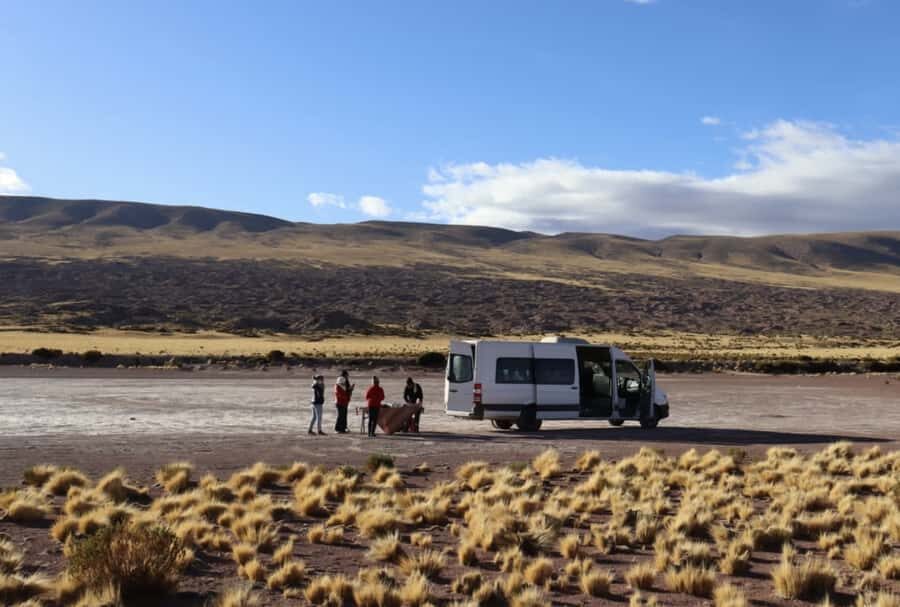 Full day Altiplanic Lagoons, Piedras Rojas and Chaxa Lagoon - Lunch Break: Food Included, Local Ingredients Included
