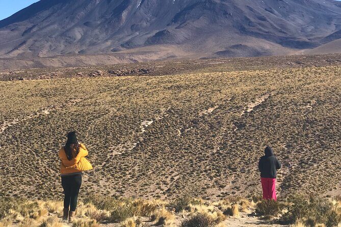 Full Day Tour to Ruta de los Salares - Salar de Aguas Calientes: A Late-Day Reset Before Lunch