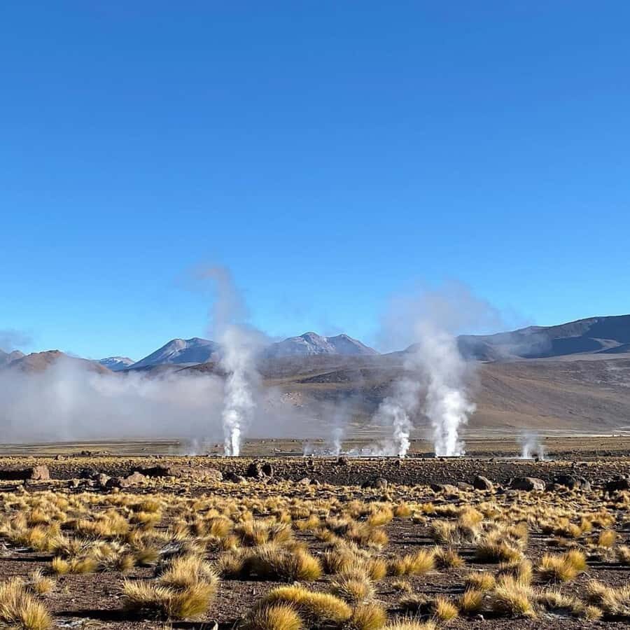 Geysers del Tatio: Sunrise and breakfast in Atacama - Putana River flora and fauna: how life survives in harsh air