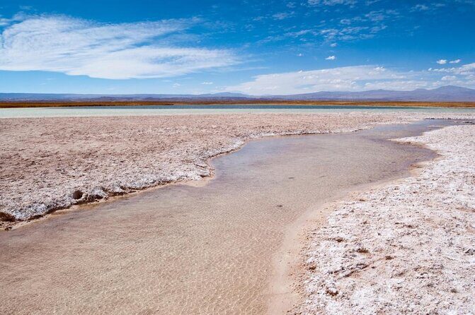 Half-Day Tour to Laguna Cejar - Key highlights to know before you go