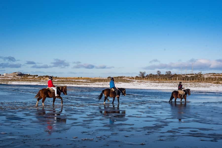 Horseback Riding near Strait of Magellan - From Punta Arenas to Agua Fresca Lodge: the morning run that sets the tone