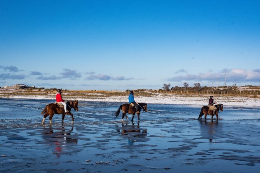 Horseback Riding near Strait of Magellan - The payoff viewpoint: Tierra del Fuego, Dawson, and the Darwin Range