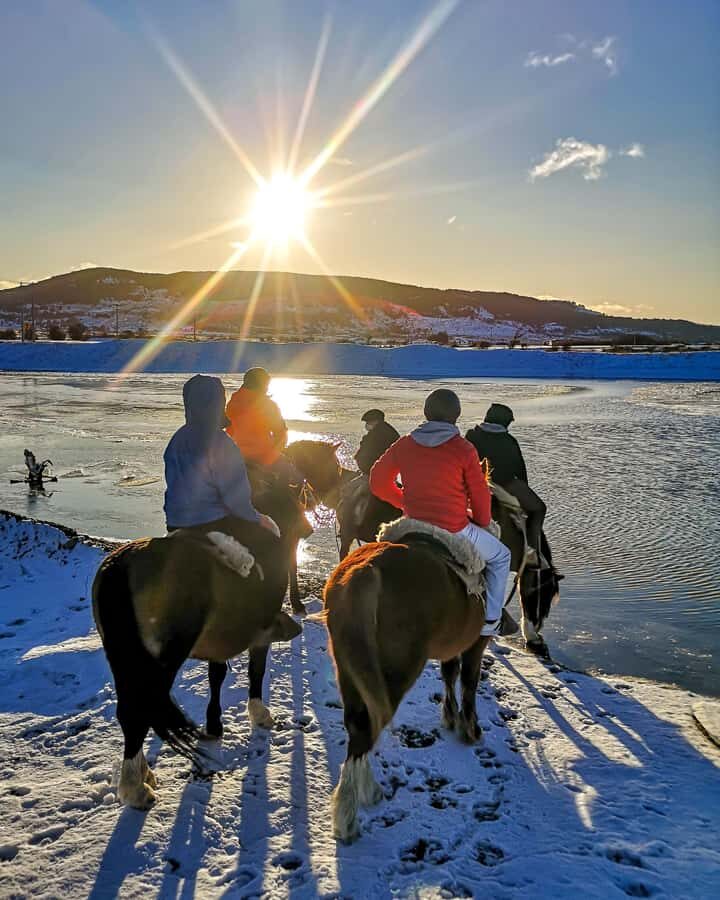 Horseback Riding near Strait of Magellan - The real magic: riding the wetlands and forest along the Strait of Magellan
