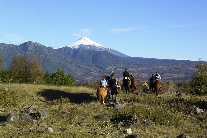 Horseback Trailride Excursion - Key Things I’d Put on Your Radar