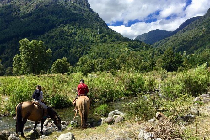 Horseback Trailride Excursion - Group Size and Meeting Point: Show Up Smoothly