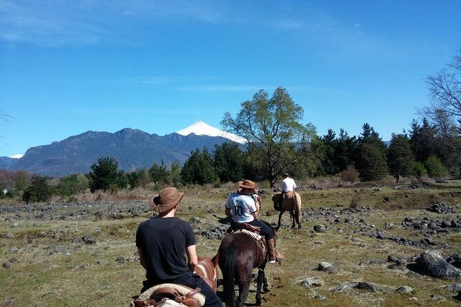 Horseback Trailride Excursion - Horses and Guides: The Difference Between Riding and Being Looked After
