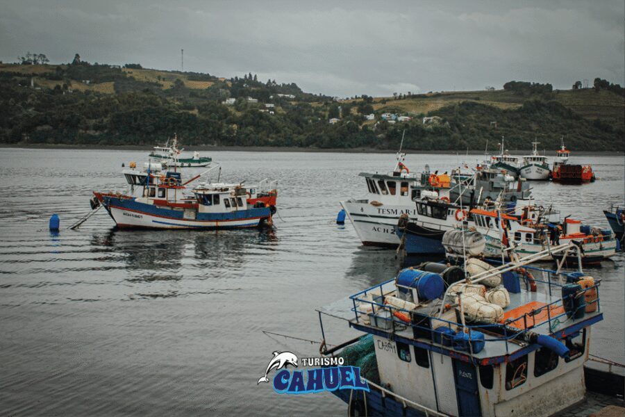 Inner Coast of Chiloé: Road and Sea. - The drive-and-walk segment: village stops and quick lookouts