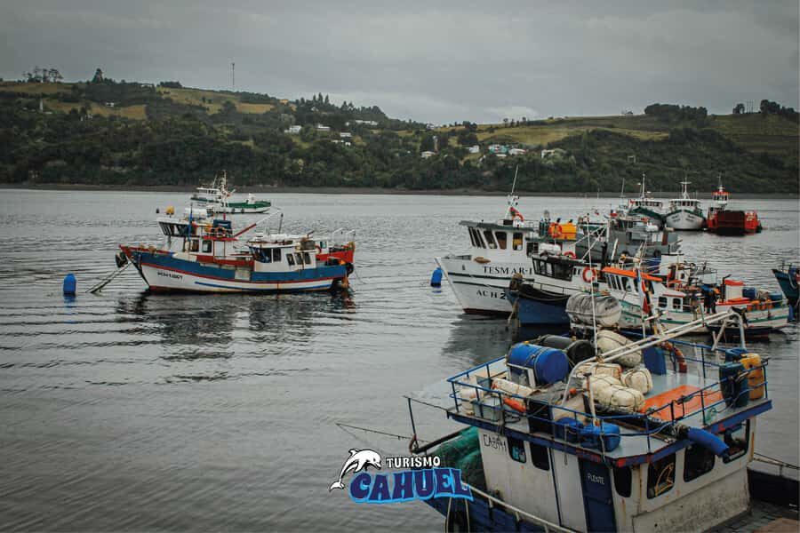 Inner Coast of Chiloé: Road and Sea. - Tocoihue Waterfall: the best photo stop with witchcraft tales