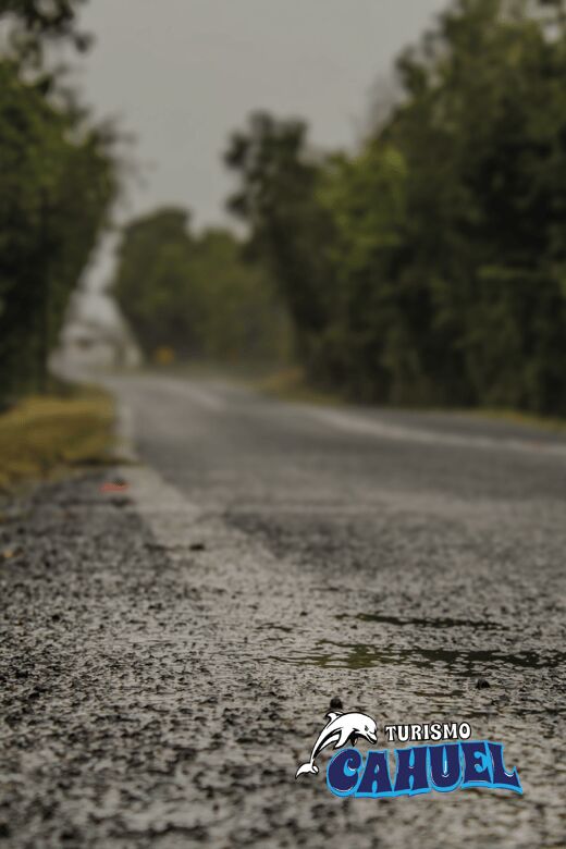 Inner Coast of Chiloé: Road and Sea. - What to bring (so the day feels easy, not annoying)