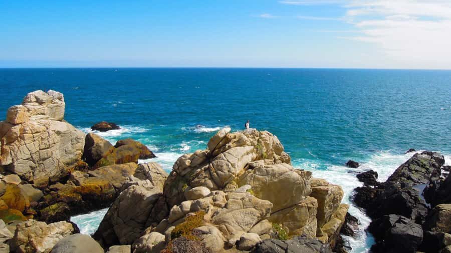 ISLA NEGRA AND ALGARROBO WITH VINICOLA UNDURRAGA - TOUR : CHILE - Isla Negra: Neruda by the sea, with the ticket question