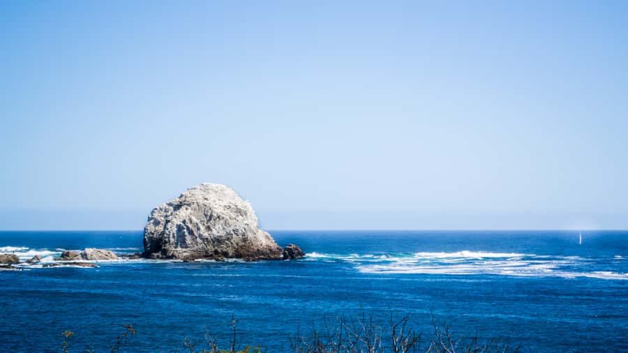 ISLA NEGRA AND ALGARROBO WITH VINICOLA UNDURRAGA - TOUR : CHILE - Price and what $120 actually buys you