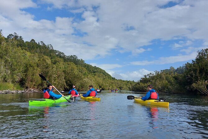 Kayak through the Sunken Forest of the Maullín River - Key points you’ll actually care about