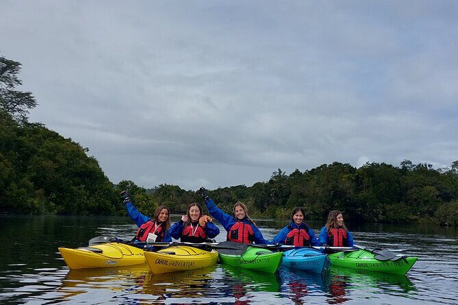 Kayak through the Sunken Forest of the Maullín River - Kayaking the Maullín River’s sunken forest: what the “forest under water” really means