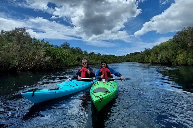 Kayak through the Sunken Forest of the Maullín River - Two-part flow: biodiversity watching, then Llanquihue and the Maullín River source area