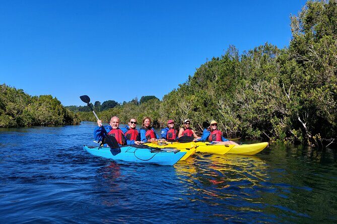 Kayak through the Sunken Forest of the Maullín River - Kayaks, gear, and the coaching that helps you feel safe