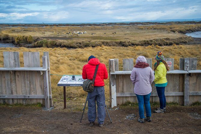 King Penguin Nature Reserve - Tierra del Fuego Island - Estancia San Gregorio: the short stop that adds context