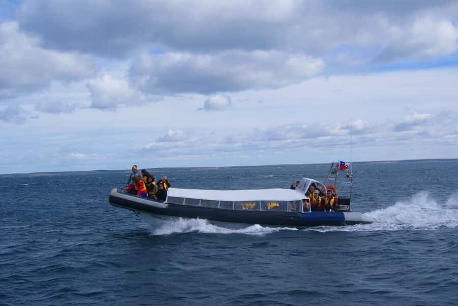 Magdalena Island Penguin Tour by Boat from Punta Arenas - When weather changes things: timing and cruise-day details