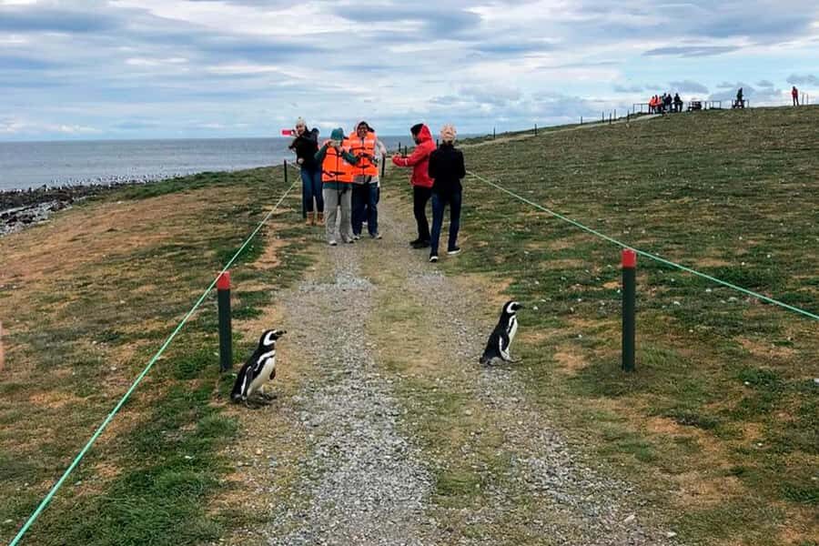 Magdalena Island: Walk with the penguins - Prat Pier check-in, boarding, and the safety briefing