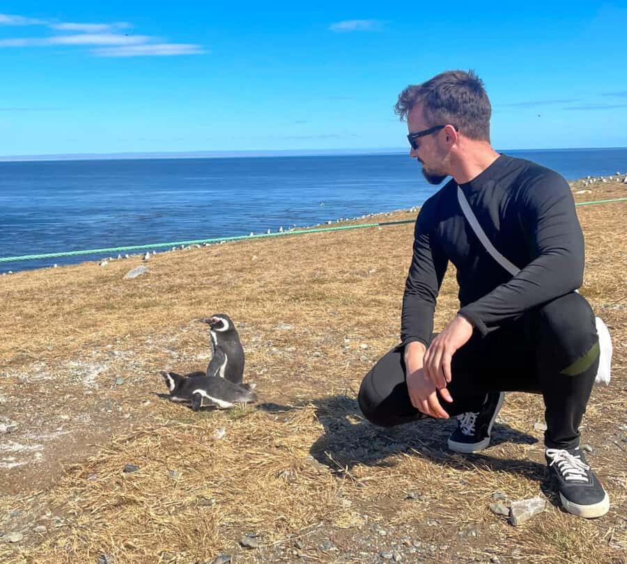 Magdalena Island: Walk with the penguins - Magdalena Island: the 800-meter penguin walk and lighthouse stop