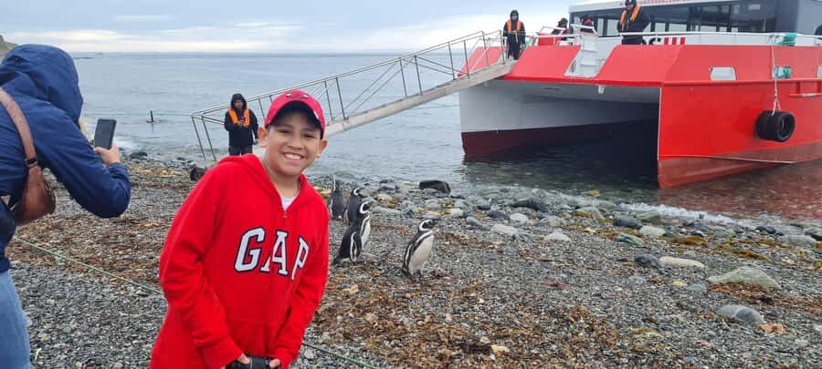 Magdalena Island: Walk with the penguins - What to watch for: weather, strong wind, and low tide