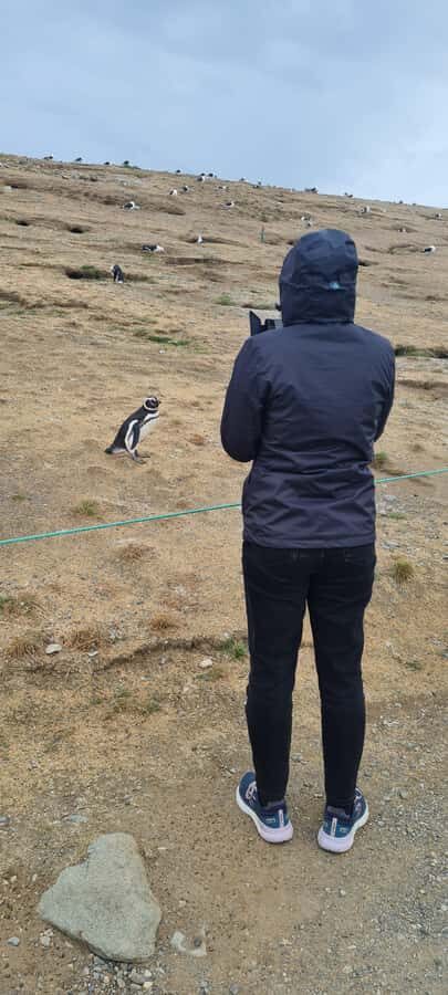 Magdalena Island: Walk with the penguins - What’s included, what’s not, and how to prepare