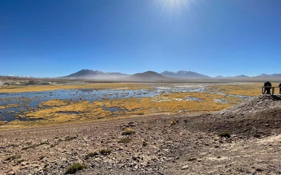 Memorable Tatio Geysers Tour with Flamingos and Scenic Views - Breakfast in the Andes: fueling up before the long drive back