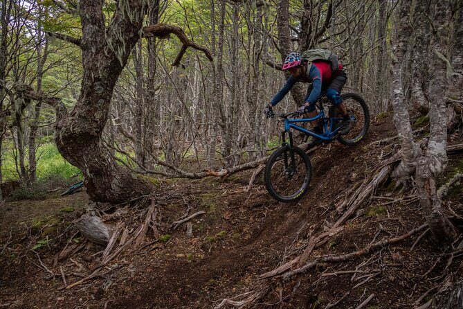 Mountain Bike Adventure in Punta Arenas - Key highlights you’ll actually feel on the trail
