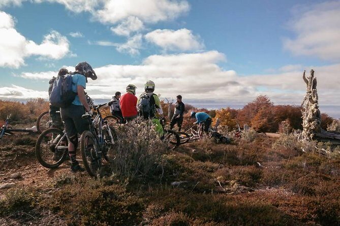 Mountain Bike Adventure in Punta Arenas - Reserva Nacional Magallanes: lenga and coigues, plus wildlife time